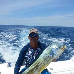 Meet your Posher, Tom